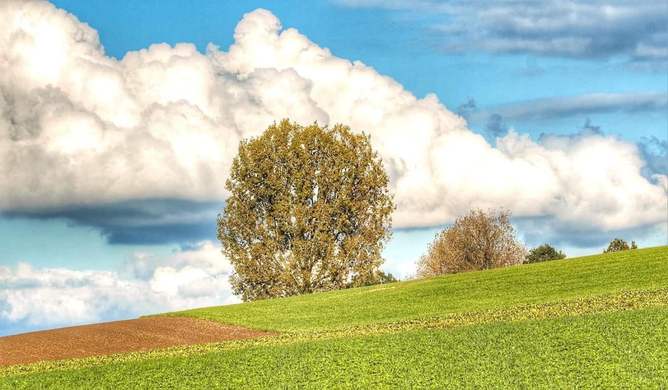 Hoeve Hofgaarde Heers Buitenkant foto